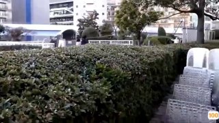 日韩无码.亚洲小姐图片在线a 日本一区二区在线看_国产在线精品观看一区欧美国产精品不卡在线观看_国产亚洲一区二区手机在线观看